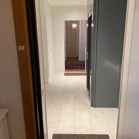 Appartement Geneve, Plein Centre,belle Vue Lac, Splendide Et Grand