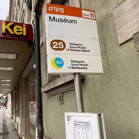 Geneve, Plein Centre,belle Vue Lac, Splendide Et Grand Appartement