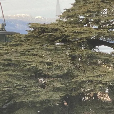 Geneve, Plein Centre,belle Vue Lac, Splendide Et Grand *
