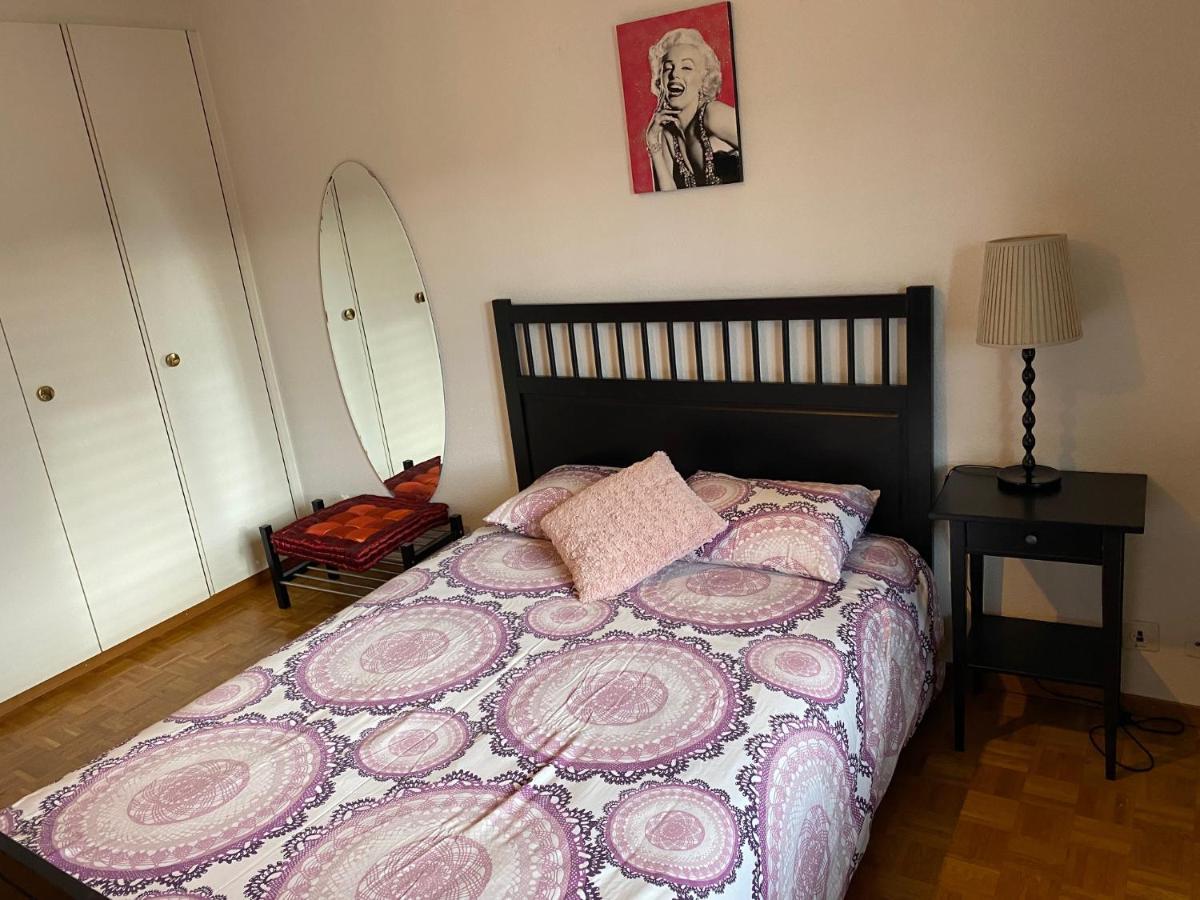 Geneve, Plein Centre,belle Vue Lac, Splendide Et Grand Geneva